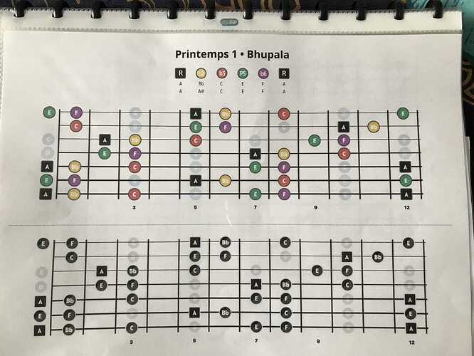 gamme 1 printemps imprimée