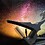Capo-D-Astres
